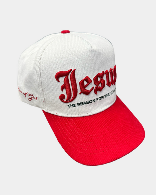 REASON FOR THE SEASON | Hat